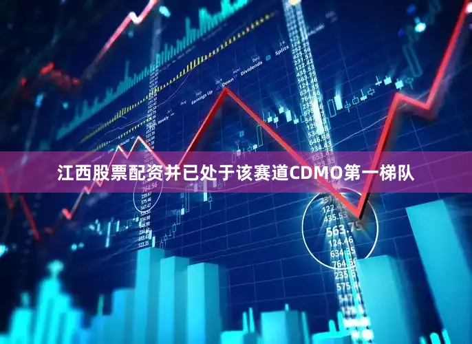 江西股票配资并已处于该赛道CDMO第一梯队