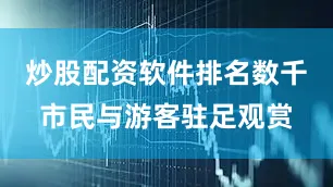炒股配资软件排名数千市民与游客驻足观赏