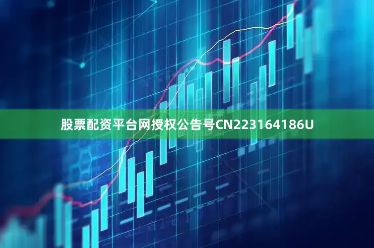 股票配资平台网授权公告号CN223164186U