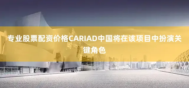 专业股票配资价格CARIAD中国将在该项目中扮演关键角色