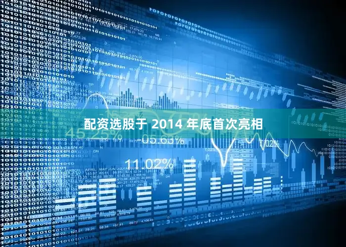 配资选股于 2014 年底首次亮相