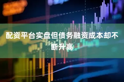 配资平台实盘但债务融资成本却不断升高